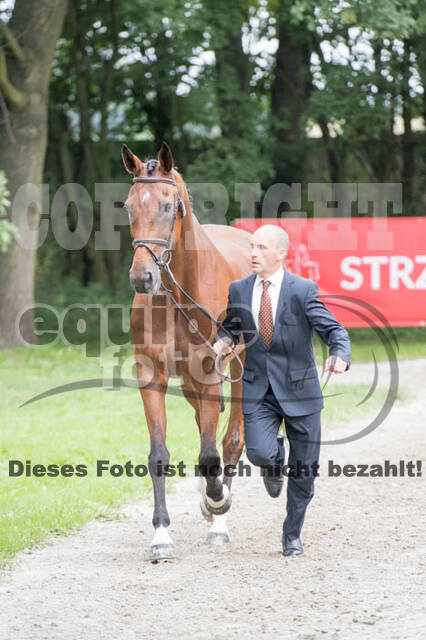 FEI European Championship Eventing 2017
