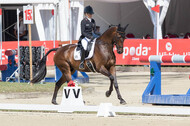 FEI European Championship Eventing 2017