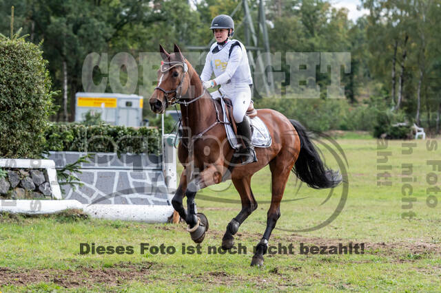 Vielseitigkeit RSV Wesel Obrighoven (26.+27.09.2020)