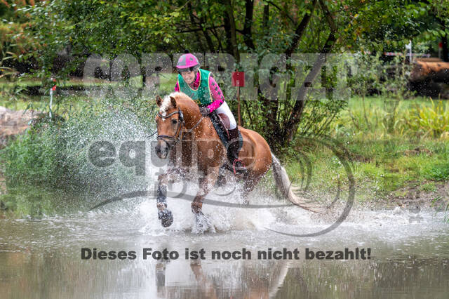 Vielseitigkeit RSV Wesel Obrighoven (26.+27.09.2020)