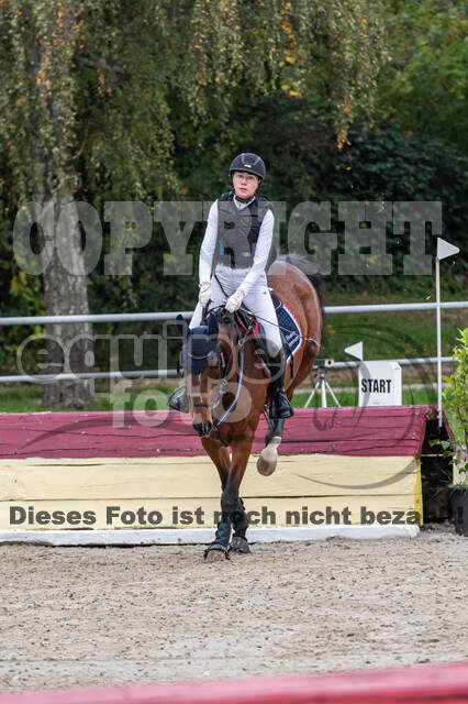 Goldene Schärpe 2020 - Pferde