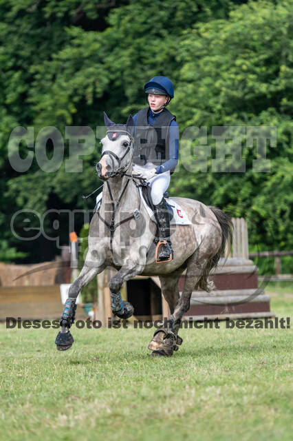 Goldene Schärpe 2021 - Ponys