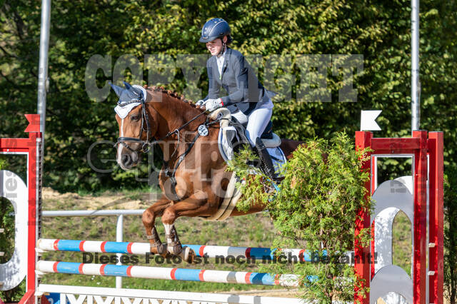 RFV Dinslaken-Hiesfeld (Herbstturnier)