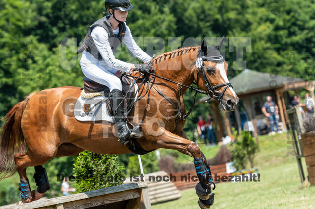 Goldene Schärpe 2021 - Ponys