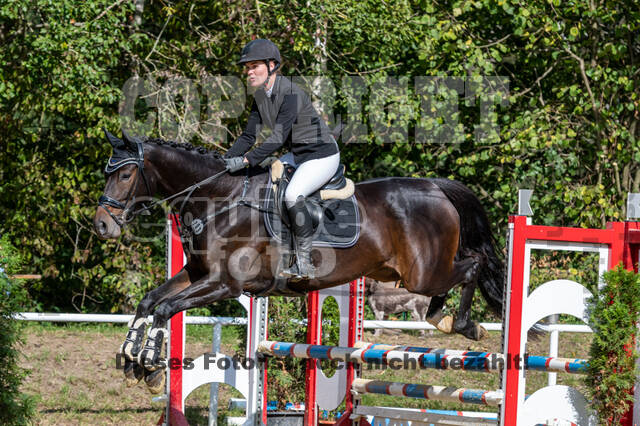 RFV Dinslaken-Hiesfeld (Herbstturnier)