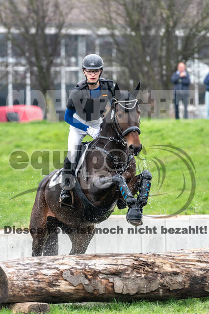 Goldene Schärpe 2020 - Pferde