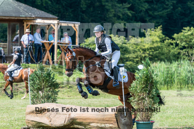 Goldene Schärpe 2021 - Ponys