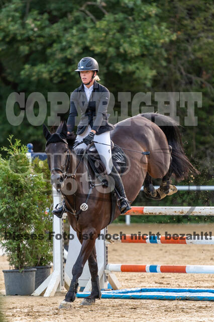 RFV Dinslaken-Hiesfeld (Herbstturnier)