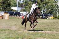 Vielseitigkeitsturnier RSV St. Hubertus Wesel Obrighoven