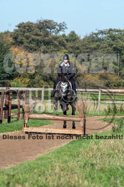 Vielseitigkeitslehrgang mit Jürg Kurbel (9.+10.11.2019)
