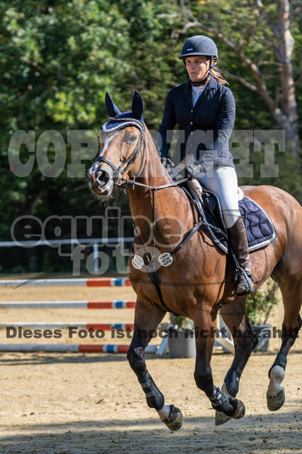RFV Dinslaken-Hiesfeld (Herbstturnier)