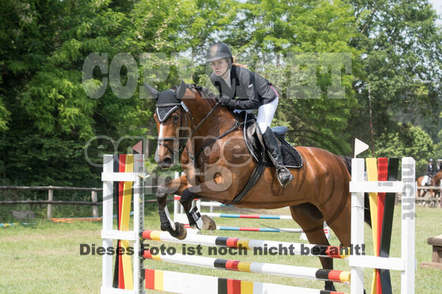 Vielseitigkeitsturnier ZRuFV von Lützow Hamminkeln