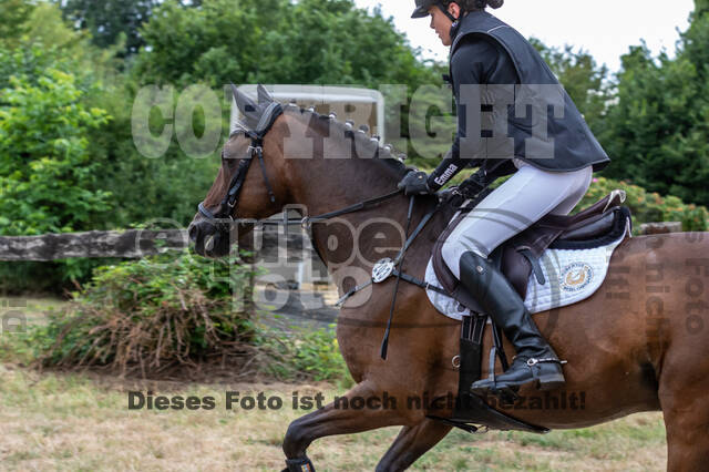 Late-Entry Vielseitigkeit Hamminkeln/Wesel (01.+02.08.2020)