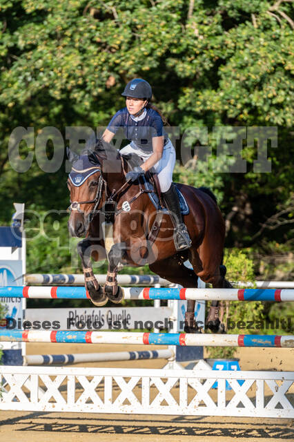 RFV Dinslaken-Hiesfeld (Herbstturnier)