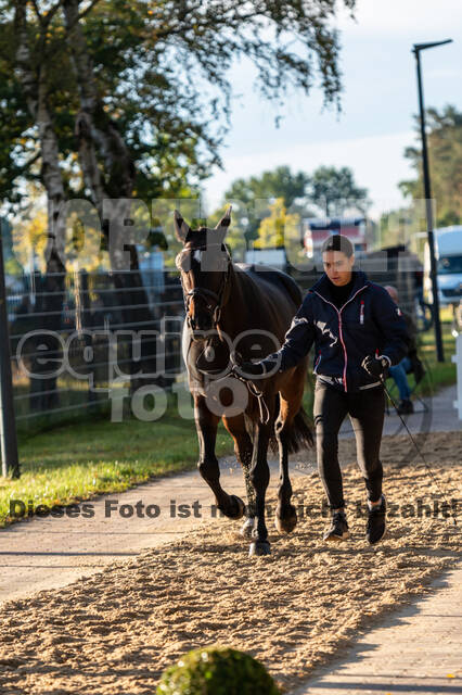 Deutsche Meisterschaft Vielseitigkeit (Luhmühlen)