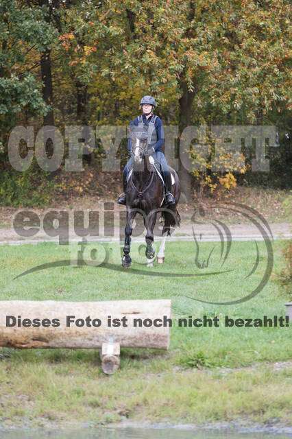 IGV Lehrgang der Sieger der Cups mit Frank Ostholt