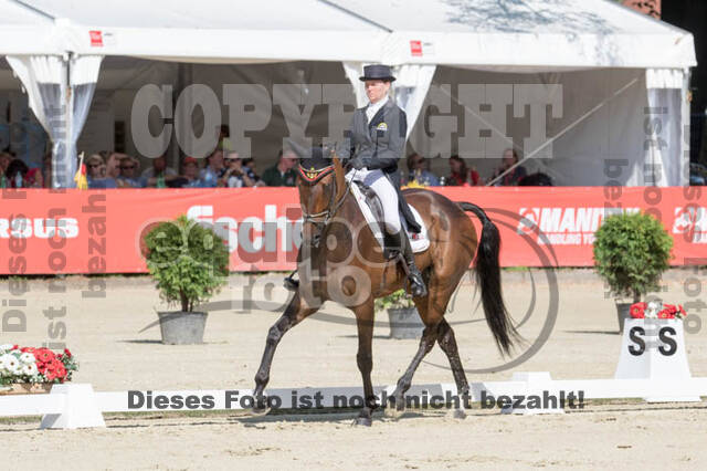 FEI European Championship Eventing 2017