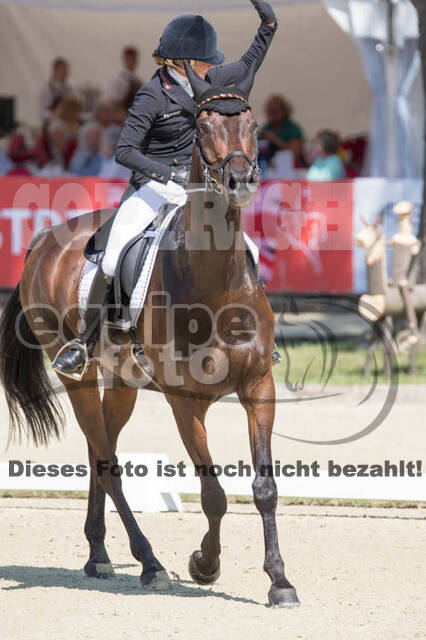 FEI European Championship Eventing 2017