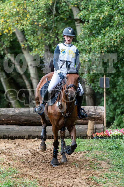 Vielseitigkeit RSV Wesel Obrighoven (26.+27.09.2020)