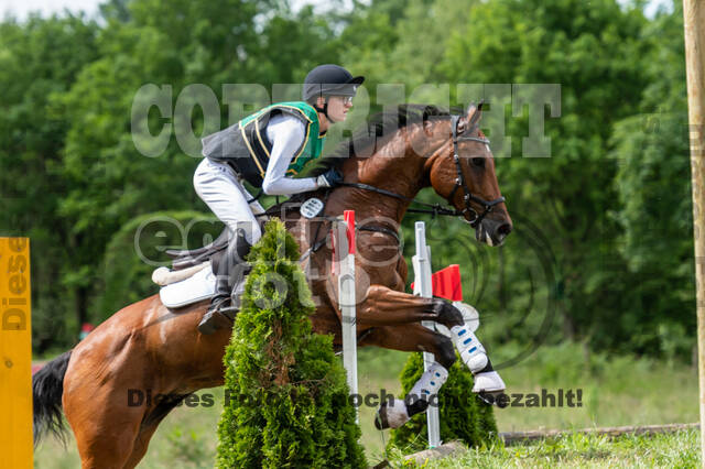 Westerstede Horse Trials (10.-13.06.2021)