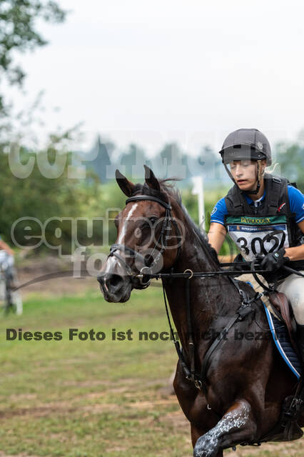 De Peelbergen (August 2020)