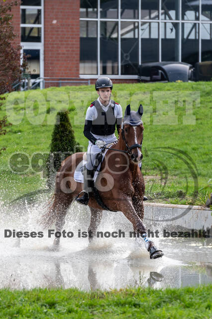 Goldene Schärpe 2020 - Pferde