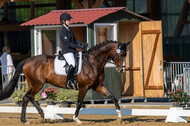 Westerstede Horse Trials 2021