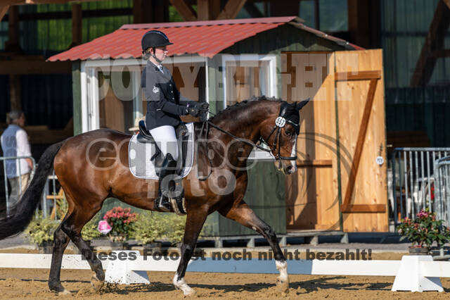 Westerstede Horse Trials 2021