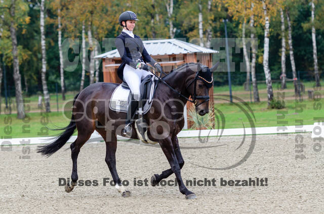 Deutsche Meisterschaft Vielseitigkeit (Luhmühlen)