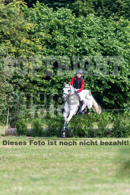 Goldene Schärpe 2021 - Ponys