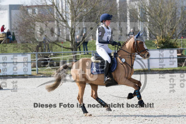 Eventing Langenfeld 2018