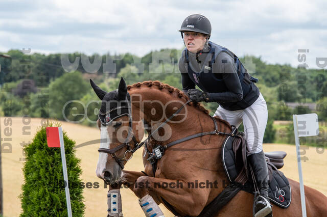 Bonn-Rodderberg Late-Entry-Vielseitigkeit (30.06.2020)