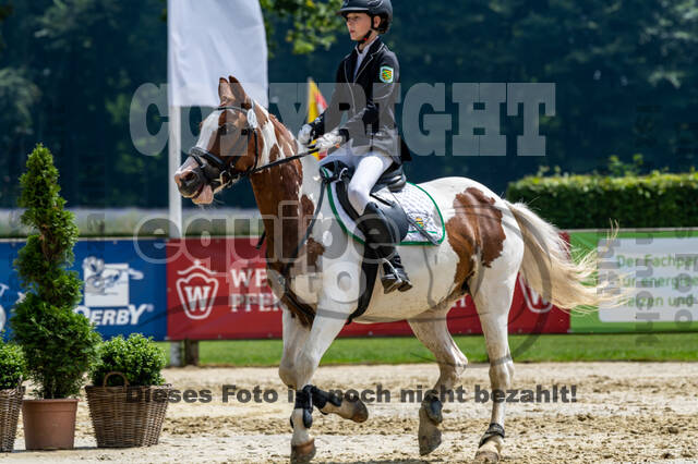 Goldene Schärpe 2021 - Ponys