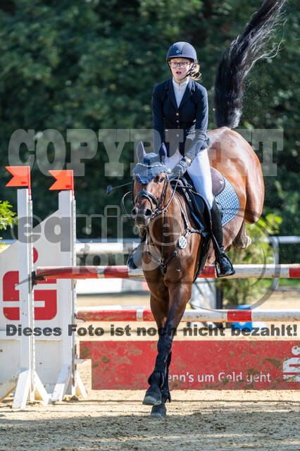 RFV Dinslaken-Hiesfeld (Herbstturnier)