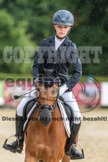 Goldene Schärpe 2021 - Ponys