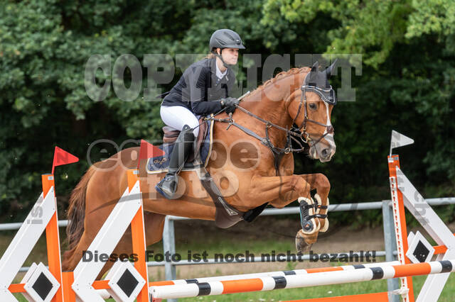 Late-Entry-Vielseitigkeit Langenfeld (06.+07.07.2020)