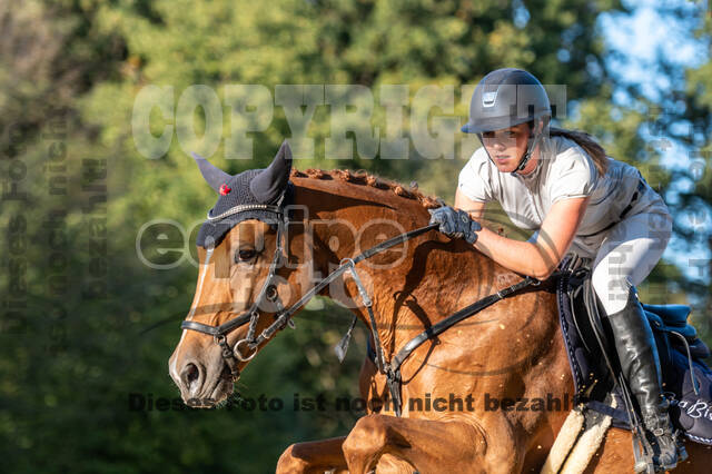 RFV Dinslaken-Hiesfeld (Herbstturnier)