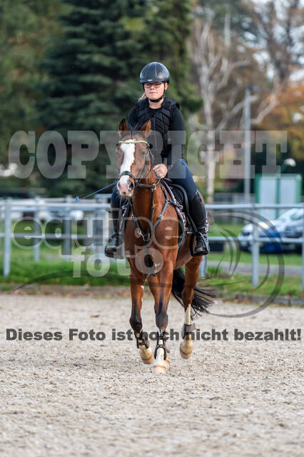 IGV Lehrgang der Sieger der Cups mit Frank Ostholt