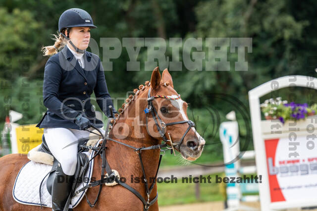 Vielseitigkeit RSV Wesel Obrighoven (26.+27.09.2020)