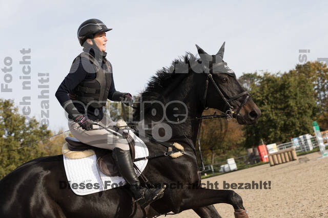 IGV Lehrgang der Sieger der Cups mit Frank Ostholt