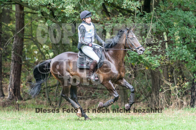 Vielseitigkeit RSV Wesel Obrighoven (26.+27.09.2020)