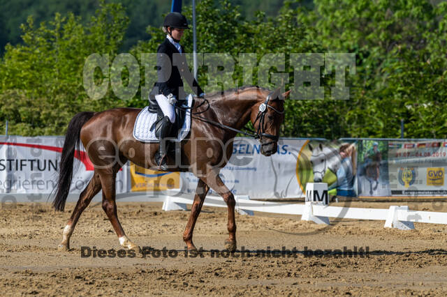 Westerstede Horse Trials 2021