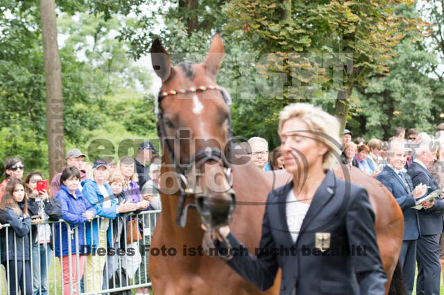 FEI European Championship Eventing 2017