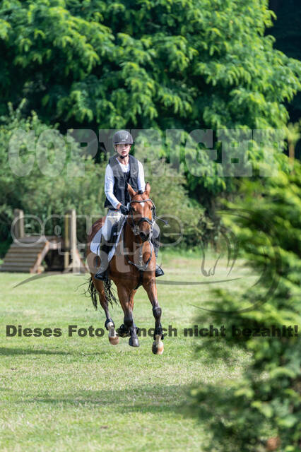 Goldene Schärpe 2021 - Ponys