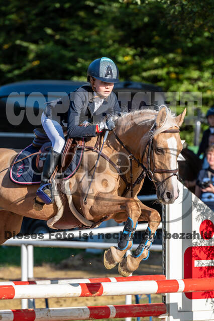 RFV Dinslaken-Hiesfeld (Herbstturnier)