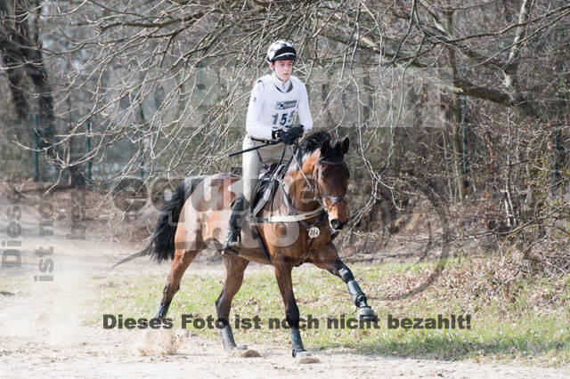 Eventing Langenfeld 2018
