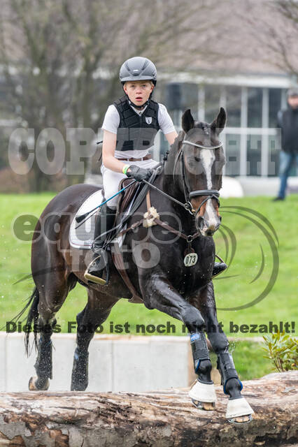 Goldene Schärpe 2020 - Pferde