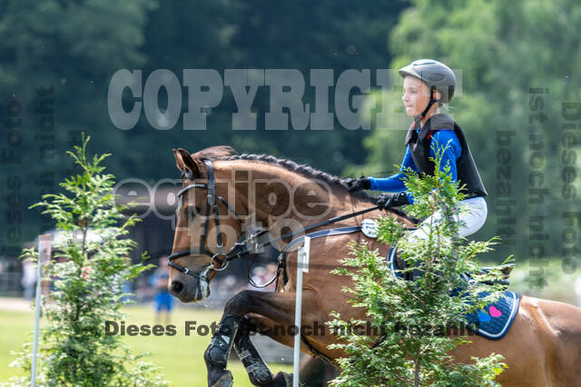 Goldene Schärpe 2021 - Ponys