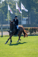 De Peelbergen (August 2020)