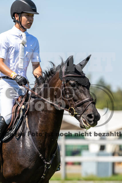 Kronenberg - De Peelbergen (August 2020)